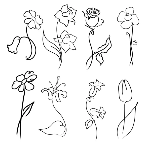 Flowers Design Set — Stock Vector