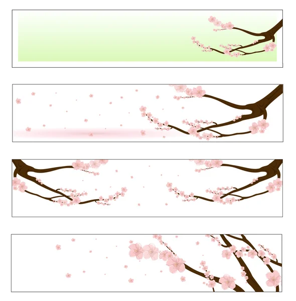 鲜花盛放的樱花 — 图库矢量图片