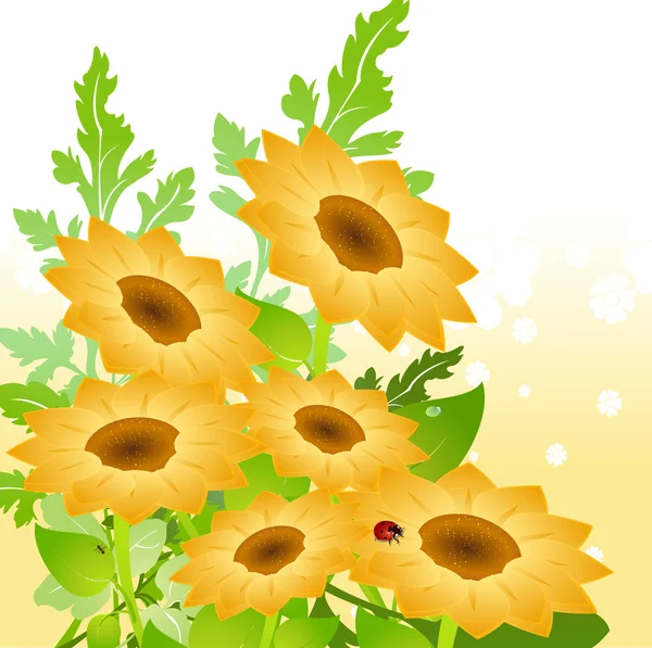 Yellow sunflowers — Stock Vector
