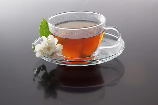 Прозрачная чашка с зеленым чаем и свежими жасминовыми цветами — стоковое фото