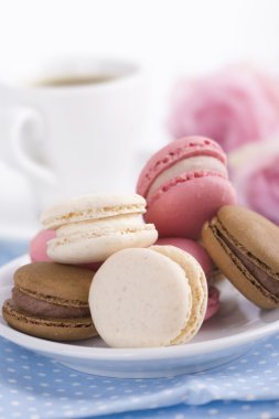 Fransızca macaroons