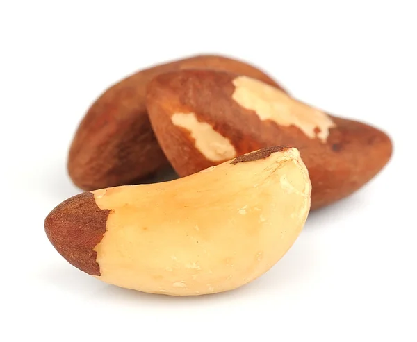 stock image Brazil nuts