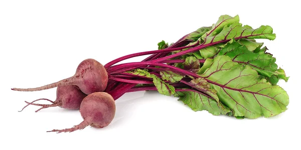Three young beets — Stock Photo, Image