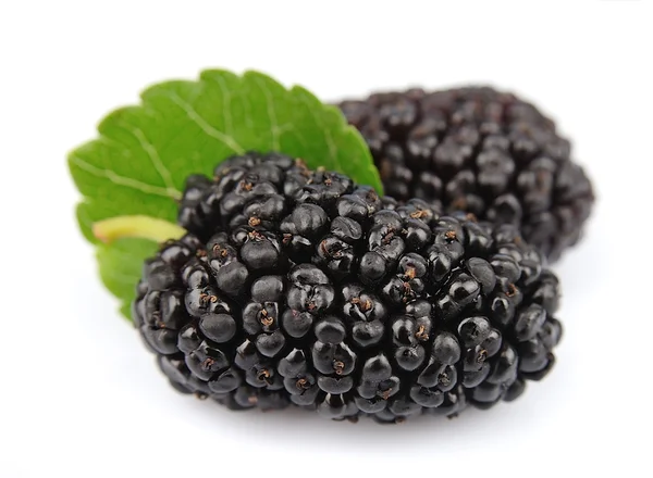 Mulberry with leafs — Stock Photo, Image