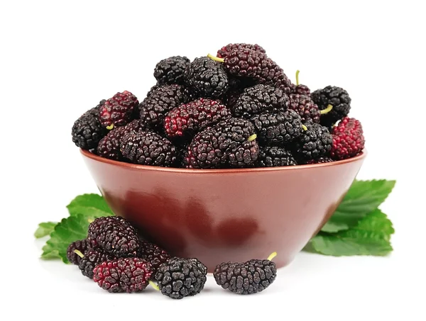 Sweet mulberry — Stock Photo, Image