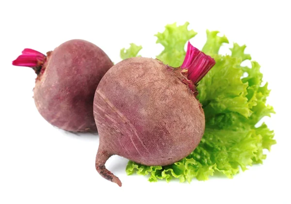 Young beet — Stock Photo, Image