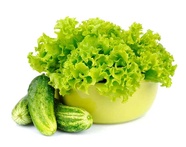 Fresh salad leafs with cucumber — Stock Photo, Image