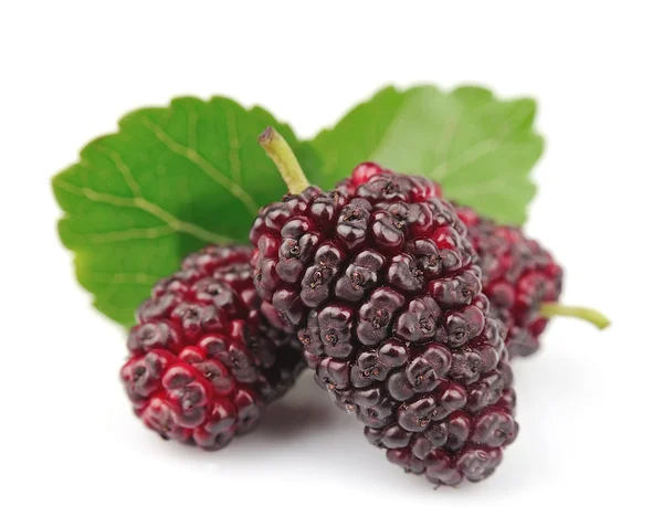Mulberry with leafs — Stock Photo, Image