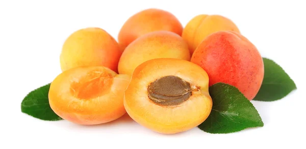 Søte aprikoser med bladverk – stockfoto