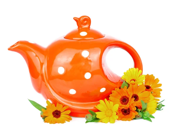 Herbal tea and calendula flowers — Stock Photo, Image