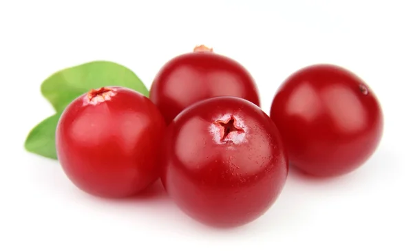 Sweet cranberries with leafs — Stock Photo, Image