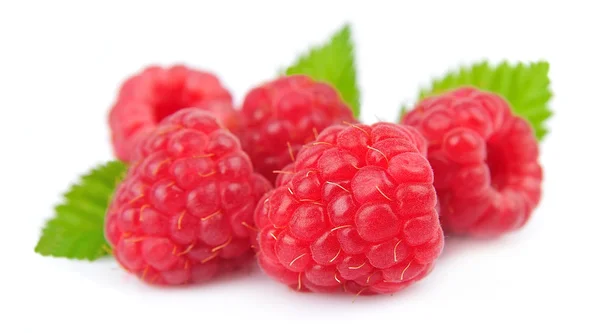 树莓甜技术譬垒 — 图库照片