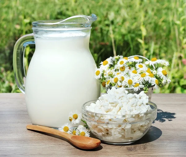 Домашнее молоко и творог — стоковое фото