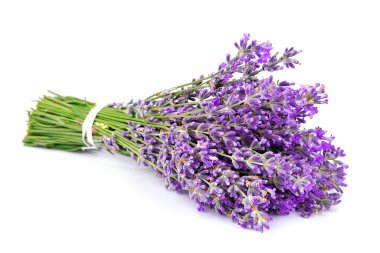 Bouquet of a fragrant lavender clipart