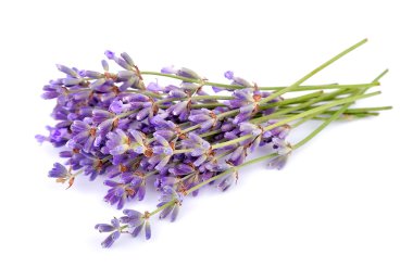 Fragrant lavender clipart