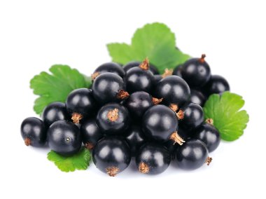 Sweet black currants clipart