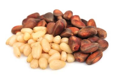 Pine nut clipart