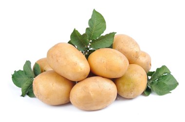 Potato close up clipart