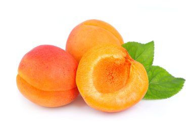 Sweet apricots clipart