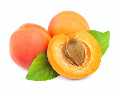 Three apricots clipart