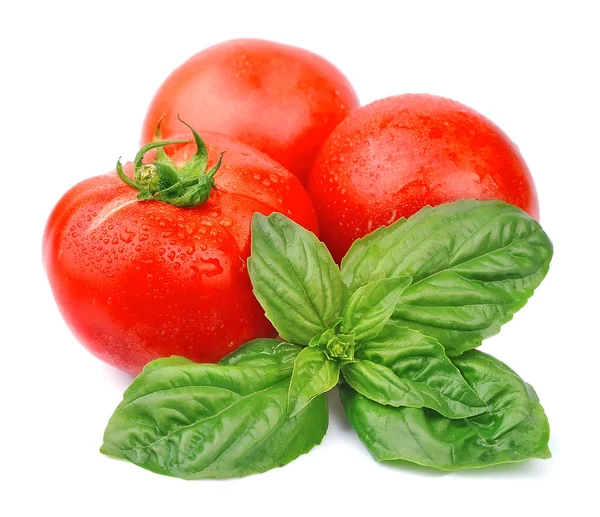 Juicy tomatoes and basil — Stock Photo, Image