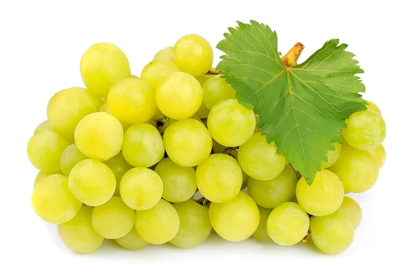 Сладкий и спелый виноград — стоковое фото