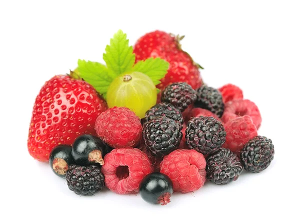 Смесь свежей ягоды — стоковое фото