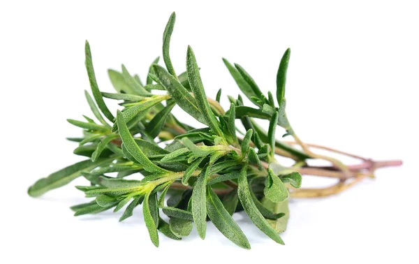Thyme fresh herb — Stock Photo, Image