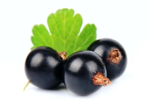 Grosella negra dulce con hojas —  Fotos de Stock