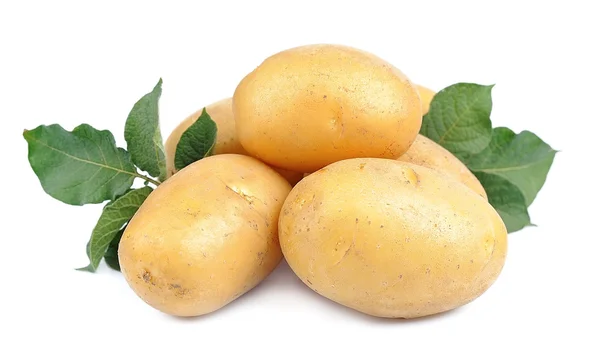 Молода картопля — стокове фото