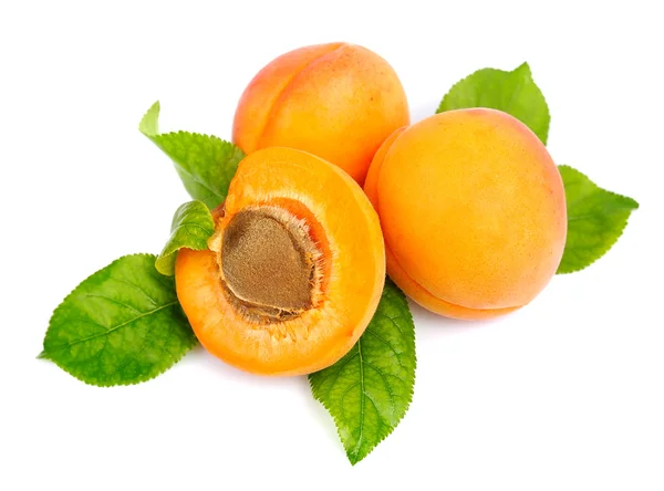 Sweet apricots — Stock Photo, Image