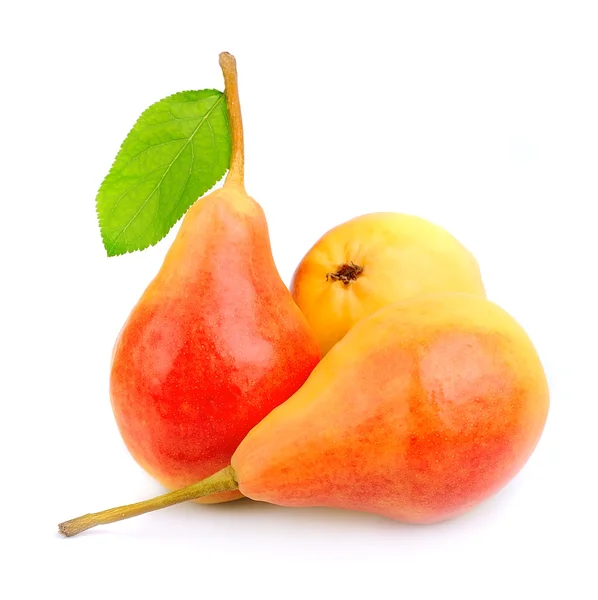 Rijp geel peren — Stockfoto