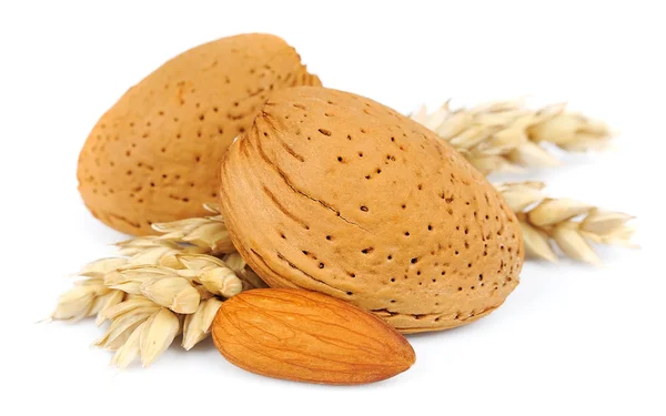 Almonds with wheat — Stock Photo, Image