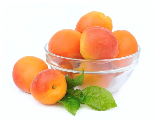 Süße Aprikosen — Stockfoto