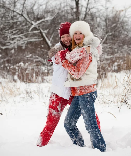 Девушки играют в зимнем парке — стоковое фото