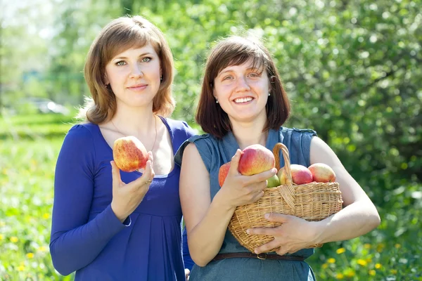 Mulheres felizes com maçãs no pomar — Fotografia de Stock
