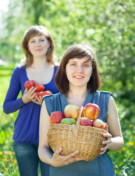 Щасливі жінки з яблучним врожаєм — стокове фото