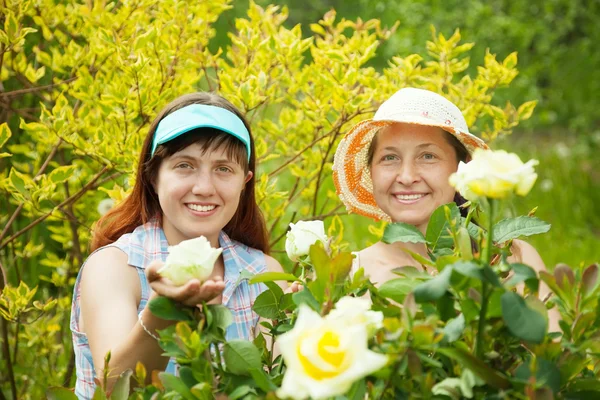 在玫瑰植物女性园丁 — 图库照片