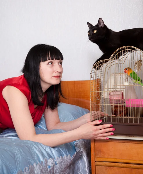 Женщина с кошкой и попугаем — стоковое фото