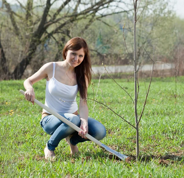 女人植树树户外 — 图库照片