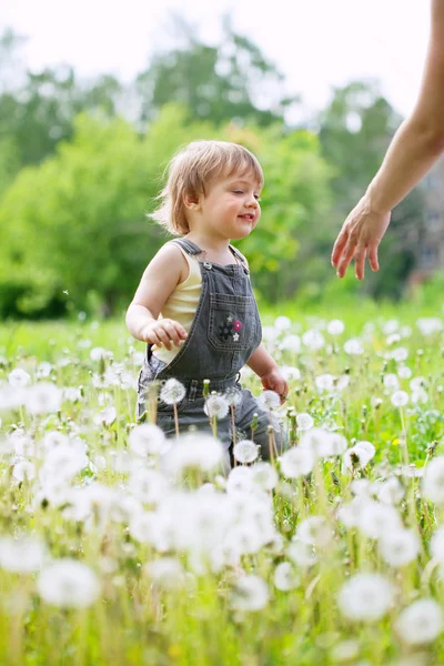 Two-year child at dandelion meadow — Stock Photo, Image