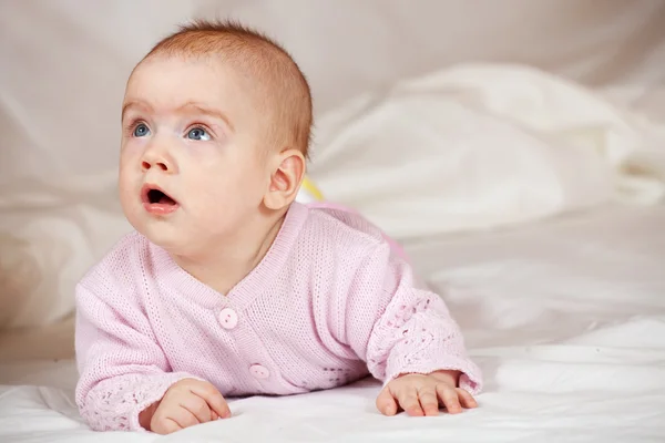 5 개월 아기 — 스톡 사진
