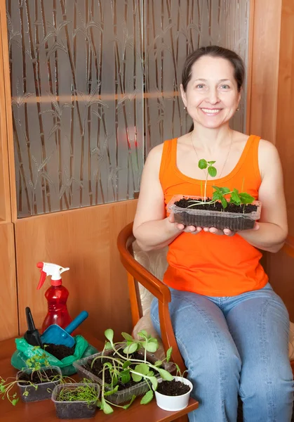 Vrouwelijke tuinman met zaailingen — Stockfoto