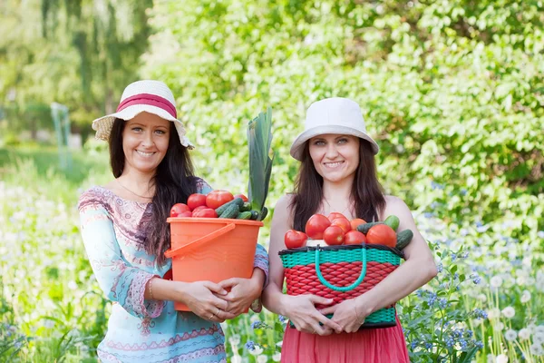 Mulheres felizes com legumes — Fotografia de Stock
