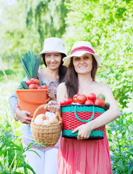 Дві щасливі жінки з овочами — стокове фото