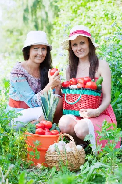 Mulheres com legumes colhidos — Fotografia de Stock