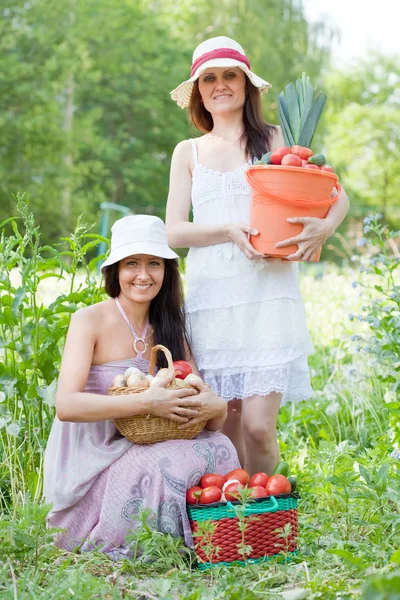 Счастливые женщины с собранными овощами — стоковое фото
