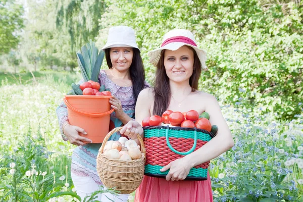 Happy women with vegetables harvest — Stock Photo, Image