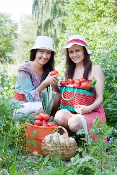 Mulheres com colheita de vegetais — Fotografia de Stock