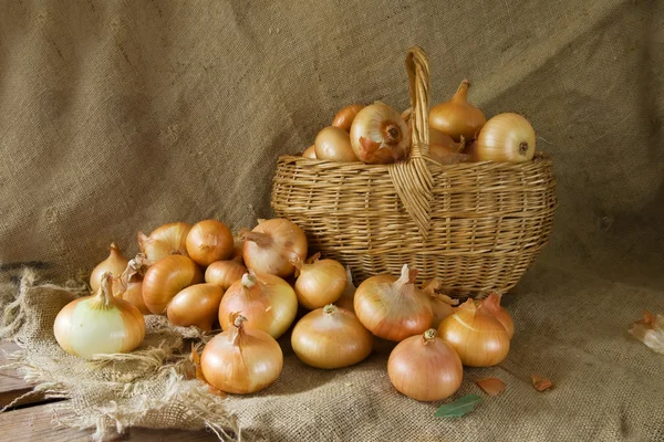 Cebolla en cesta — Foto de Stock
